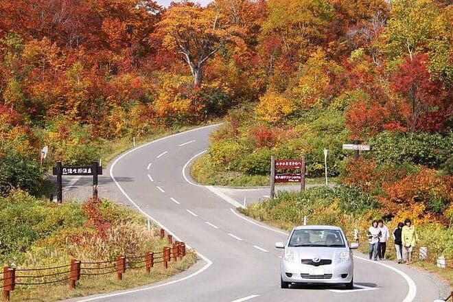 Driving in Tokyo